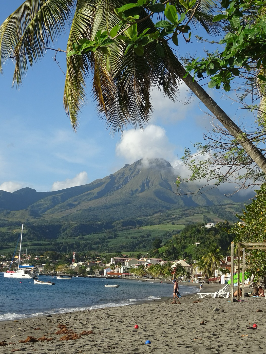 Mount Pelée rising above the Saint-Pierre coastline